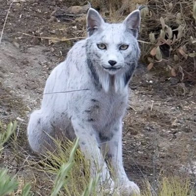 alonsofigueroa_'s profile picture. Business Owner | Boxing Fanatic | RISK TAKER AND MONEY MAKER ❤️‍🔥❤️‍🔥