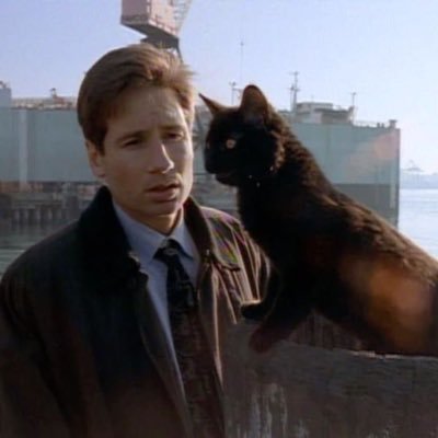 guygardnerato's profile picture. devia ter hateado menos shadeado menos… ter visto o sol se pôr (if i followed you, dont worry! youre just in a fandom that i like but i dont wanna participate)