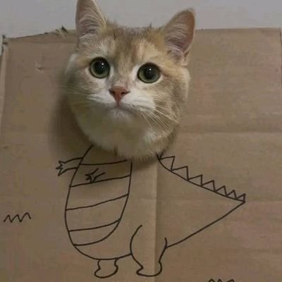 Cal_tztcs's profile picture. Web3 Alpha | Web3 Degen | Metaverse | #CSGO #CS2 🥩🧲 $SOL