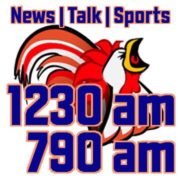 WSVG's profile picture. WSVG 790am & WAMM 1230 am - News, Talk, and Sports Radio in Winchester, Mt. Jackson, and Harrisonburg.