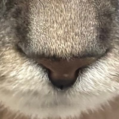 Z7s6eKcXqT68756's profile picture. ハメカスです たまにネタツイ　無言フォロー許してね フォロバ100 /山本祐大/高橋奎ニ/隅田知一郎/加藤響 乃木坂、=Love好き 五百城茉央推しです よろぴく