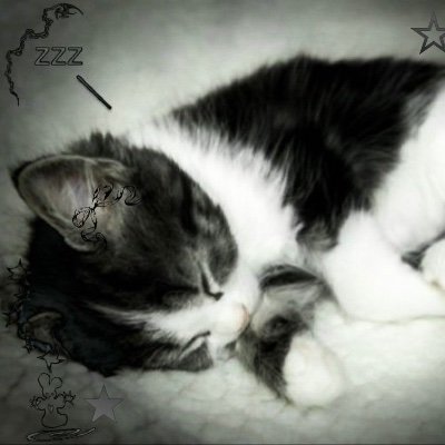 ihavedeja_vu's profile picture. ihavedejavu_ second bc I got banned