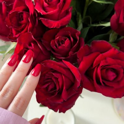 theshaiii's profile picture. 