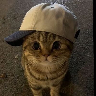 kimbleMNG's profile picture. 🇵🇹 | @EOZesport | Esport agent for @StxrmyFTW ~ @hromik213 ~ @wififn1 ~ @callumfn_ ~ @merfindlol ~ @battercry & more... | ınq : managementkimble@gmail.com