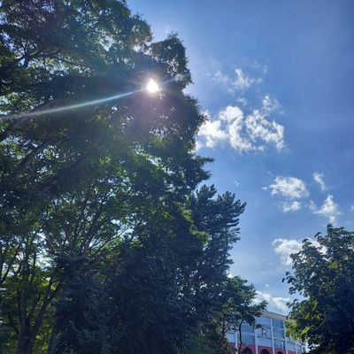 Lu8iLv4's profile picture. 