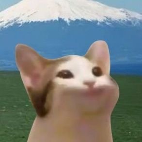 qbezarun's profile picture. check pinnned!