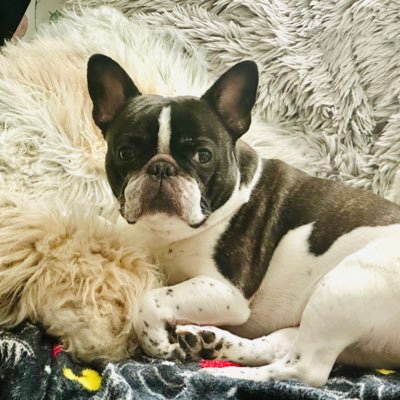 CPamatmat38641's profile picture. Leading with kindness is about maintaining high standards while treating others with respect and empathy.