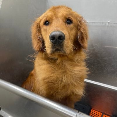 Maiab1234's profile picture. 