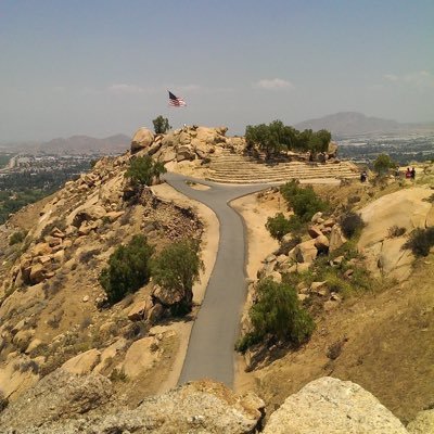 Rancic_williams's profile picture. Senior Account Manager Learn How To Trade And Invest In: Crypto  and stock