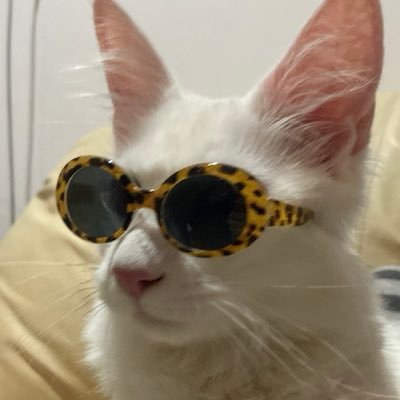 primm_ly's profile picture. ᴋᴇɴɢɴᴀᴍᴘɪɴɢ┊͙ᴛʟᴇꜰɪʀꜱᴛᴏɴᴇ ⋆*◞˚❀