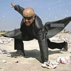 molyne1275's profile picture. 