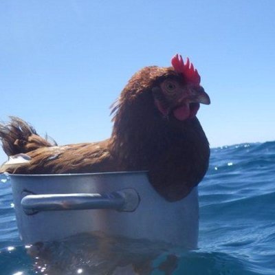 arthurianmaiden's profile picture. header by @DD_my_space

No minors followers, you'll be blocked. 
On the heated rivalry train