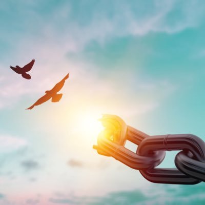 Babykrxh's profile picture. 👑