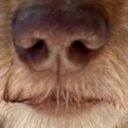 DJ Olson - @DintyHolt - Twitter