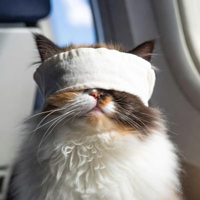 Genfewss's profile picture. Amplify Ur Cosmic Energy - Everything falls in place.