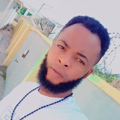 Valenti58103323's profile picture. Data Analyst/AI engineer and A successful Digital marketer