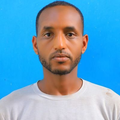 shmshlgb33's profile picture. 