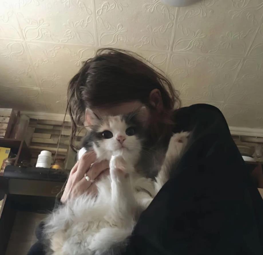 SBalipi's profile picture. 29歳 / 157cm / 47kg / 一人身 / たまにゆるくCOS / ゲームは毎日