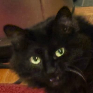 snooze___mode's profile picture. 