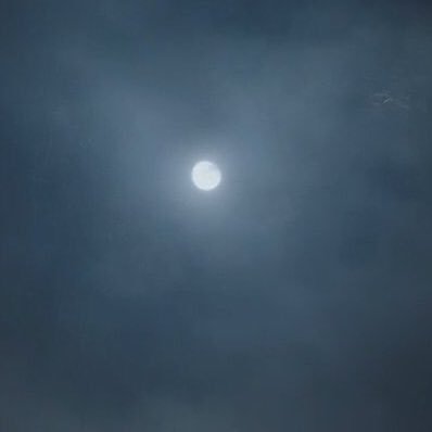 KazMillerlover's profile picture. if you’re reading this please play fallout 3