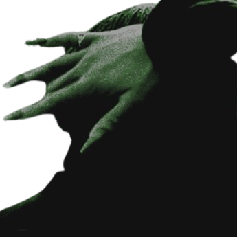 herwickednature's profile picture. 