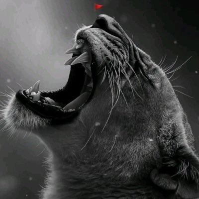 SoreLie7's profile picture. Stay Genuine. Tables will Turn!