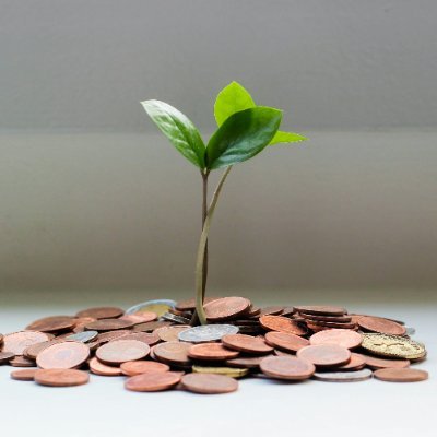 i_meghasarswat's profile picture. 