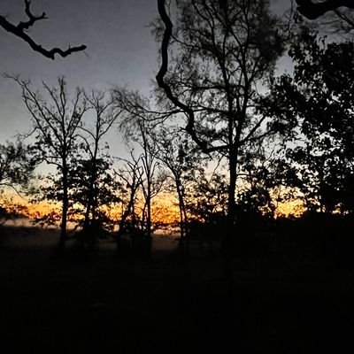 OfficialEAO's profile picture. 