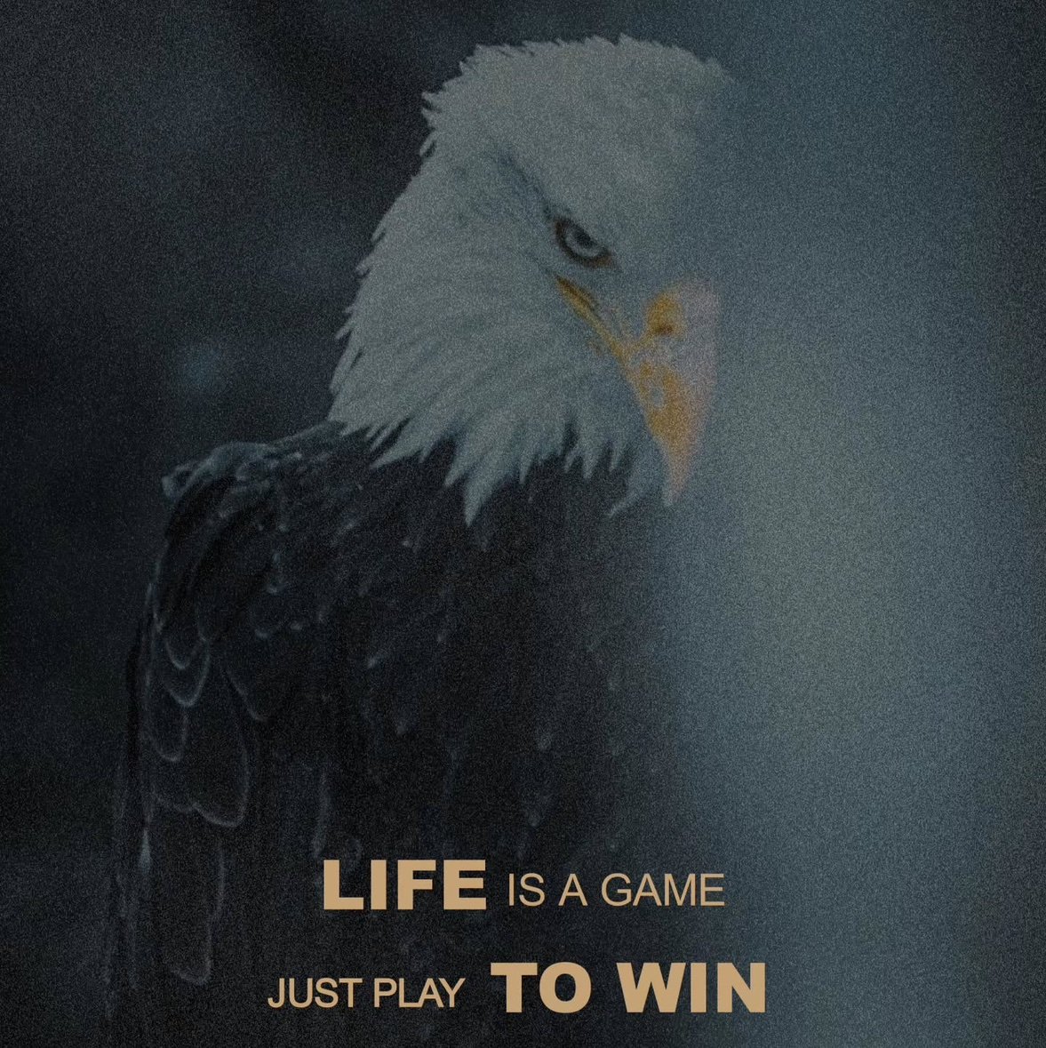 RShowvix5's profile picture. Passionné de politique, géopolitique, économie et tech. Ici, je lis, j’apprends et je retweet ce qui m’intéresse. Pas de débats.