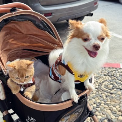 aboutaui's profile picture. ทาสลูก full time☺︎ | 🌌 my chill out area | 💬 มุมมัมเพ้อ (บ่น)