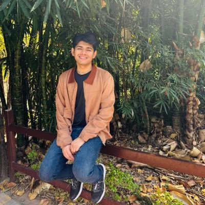 Estevaux19911's profile picture. Solo Developer