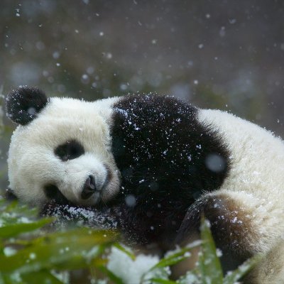 Nompao_o7's profile picture. 