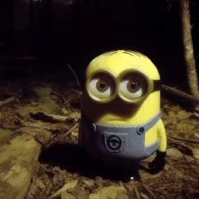 lora_zepaamm's profile picture. 25살 부자가 되고싶은 사회초년생
공부끄적끄적