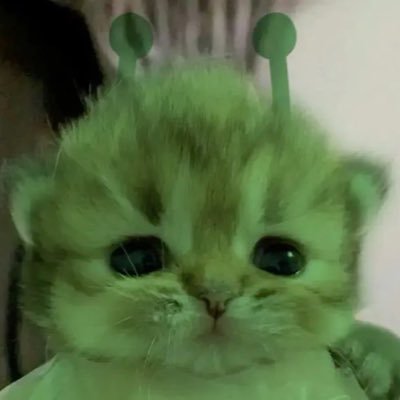 pla2todd_'s profile picture. น้ำปิงก็ไม่ได้มีใครขนาดนั้น มีแค่พี่เก่งแล้วก็มีแค่ทุกคน