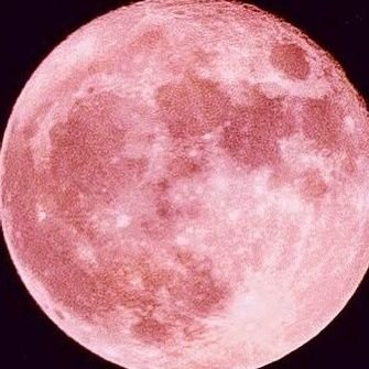 cicicaibing's profile picture. 