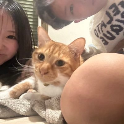 aisuke0729's profile picture. 