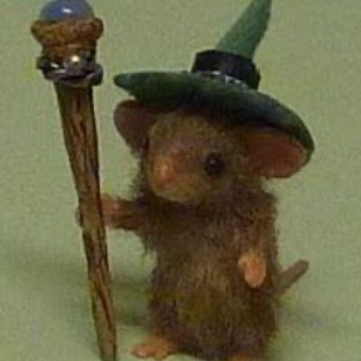 SauceTradez's profile picture. Trenchor