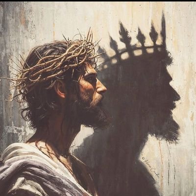 wtfDoki's profile picture. taking all the liquidity