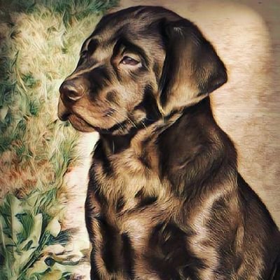 AStoryTeller14's profile picture. I tweet about things that catch my attention. RT not Endorsement. 
Life may take you places, but always honor both your Janambhoomi and Karambhoomi.