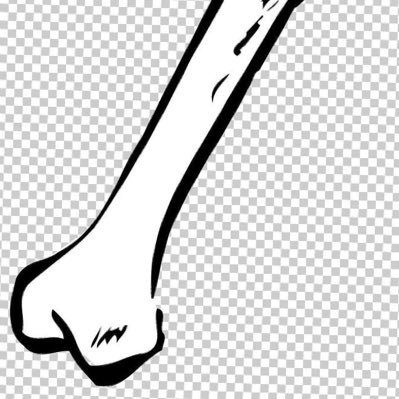 kiya_nuigurumi's profile picture. 新しいアカウント▶︎@akuumunini