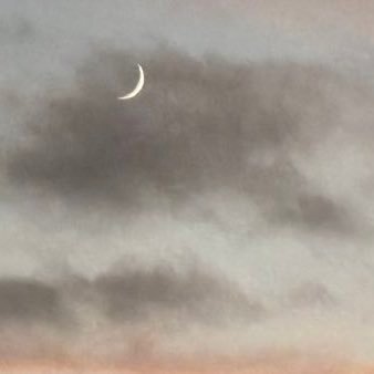 _chimichappe's profile picture. ご自愛