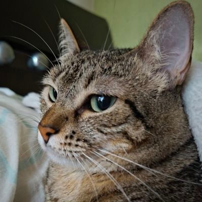 fwbianp's profile picture. unrecognizable