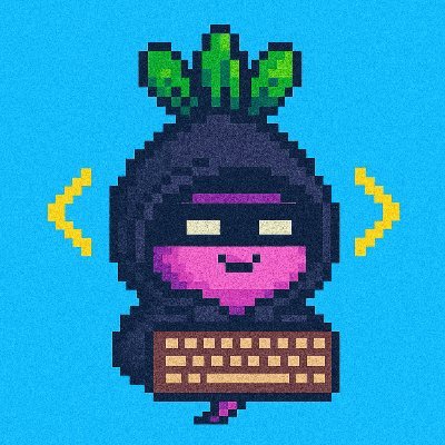 TurnipBuilds's profile picture. computer science aficionado and educator