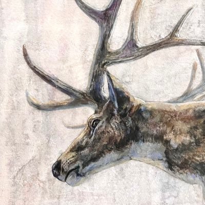 ShionTakahashiE's profile picture. ShionTakahashi｜水彩・アクリル・日本画｜お仕事のご依頼 ✉️shion.em.art@gmail.com またはDM｜@shiontakahashib◀︎ 作品販売専用