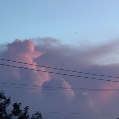 ayselz0's profile picture. 