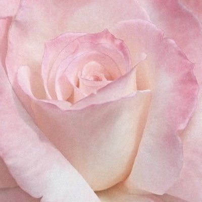 maniksodhi's profile picture. 