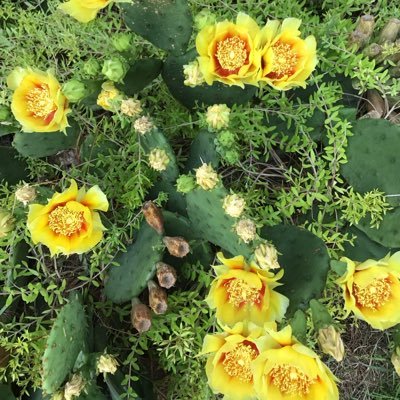 biz4262's profile picture. Truthseeker🇺🇸Save our children 🇺🇸 MAGA-MAHA ✝️ God & Country 1A & 2A Medical Freedom