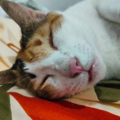 ddywji's profile picture. 