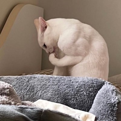 ldwm489's profile picture. แม่คนดี