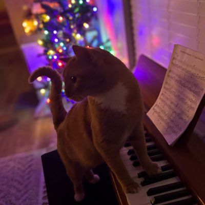 TGlennCarlander's profile picture. This Mood Message was inspired by a Goomy.